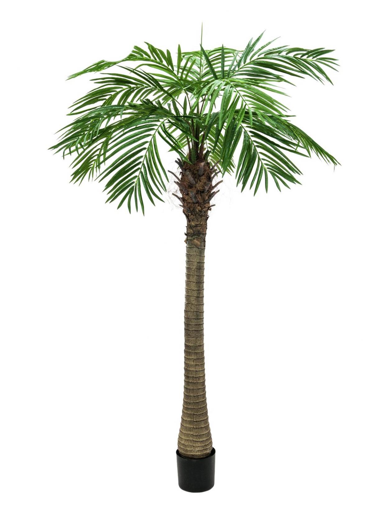 Umělé stromy a palmy