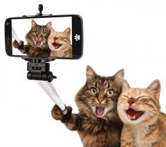 Fotograf Fotograf